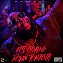 It's Going Down Tonight - Single by Big Willie B album reviews, ratings, credits
