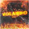 Volando (Remix) - Single album lyrics, reviews, download