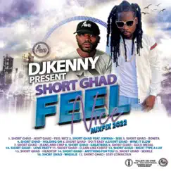 Feel Nice MixFix (Dj Kenny) by Short Ghad album reviews, ratings, credits