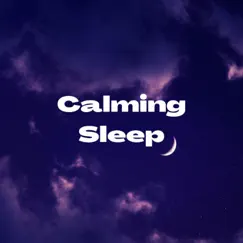 Calm Sleep Music, Pt. 28 Song Lyrics