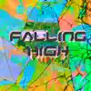 Falling High (feat. Isgo) - Single album lyrics, reviews, download