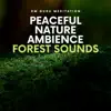 Peaceful Nature Ambience: Forest Sounds album lyrics, reviews, download