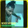 Never Satisfied - EP album lyrics, reviews, download