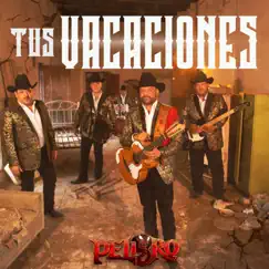 Tus Vacaciones - Single by Peligro Norteño album reviews, ratings, credits