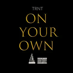 On Your Own - Single by TRNT album reviews, ratings, credits