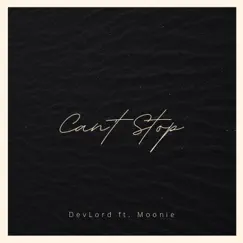 Cant Stop (feat. Moonie) Song Lyrics