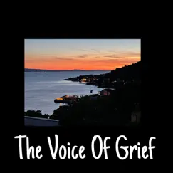 The Voice of Grief (Song for Dad) - Single by Lilly album reviews, ratings, credits