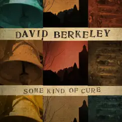 Some Kind of Cure by David Berkeley album reviews, ratings, credits