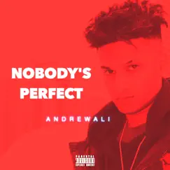 Nobody's Perfect - Single by Andrewali album reviews, ratings, credits