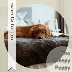 Healing BGM For Sleep by The Sleepy Puppy album reviews, ratings, credits