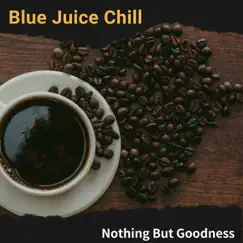 Nothing but Goodness by Blue Juice Chill album reviews, ratings, credits