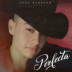 Perfecta - Single by Eddy Barreno y Su Excelencia album reviews, ratings, credits