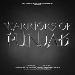 Warriors Of Punjab (feat. Pappi Gill) - Single by Rb Khera album reviews, ratings, credits