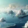 Nordic Winter album lyrics, reviews, download