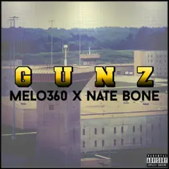 Gunz (feat. Nate bone) - Single by Melo360 album reviews, ratings, credits