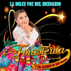 Mix Alegres De San Mateo - Single by Forasterita del peru album reviews, ratings, credits