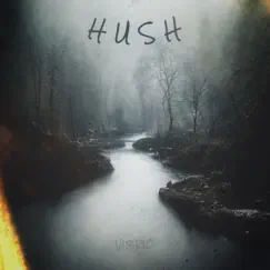 Hush by Vibrio album reviews, ratings, credits