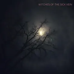 One More Trip Around the Sun - Single by Witches of the Sick Vein album reviews, ratings, credits