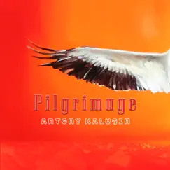 Pilgrimage - Single by Antony Kalugin album reviews, ratings, credits