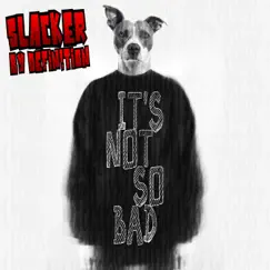 It's Not So Bad - Single by Slacker By Definition album reviews, ratings, credits