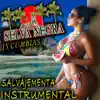 Salvajemente Instrumental album lyrics, reviews, download