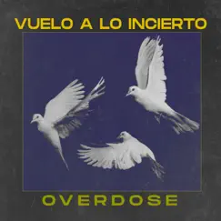 Vuelo a lo Incierto - Single by Overdose album reviews, ratings, credits