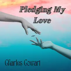 Pledging My Love (Cover) Song Lyrics