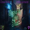 Shake It Like That (feat. Stefan Schnabel) - Single album lyrics, reviews, download