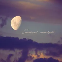 A Cardinal Moonlight Song Lyrics