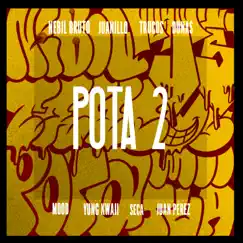 POTA 2 (feat. Nebil Bruto) - Single by Juanillo album reviews, ratings, credits