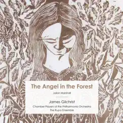 Julian Marshall: The Angel in the Forest - EP by James Gilchrist, Philharmonia Chamber Players & The Rupa Ensemble album reviews, ratings, credits