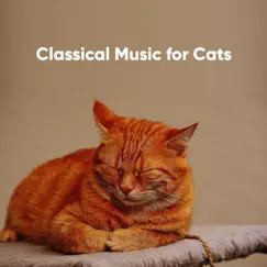 Cat Classical by Classical Music for Cats album reviews, ratings, credits