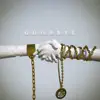 Goodbye (feat. Stephen Christian & Anberlin) - Single album lyrics, reviews, download