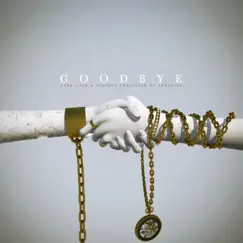 Goodbye (feat. Stephen Christian & Anberlin) - Single by Zakk Cash album reviews, ratings, credits