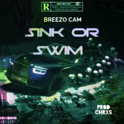 Sink or Swim - Single by BREEZO CAM album reviews, ratings, credits