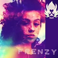Frenzy - Single by DJ Denis album reviews, ratings, credits