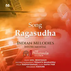 Ragasudha (feat. Raghavsimhan, Kishore Kumar & Navin Iyer) [Live] Song Lyrics