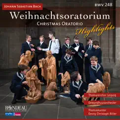 Weihnachtsoratorium / Christmas Oatorio (BWV 248): 59. Ich steh an deiner Krippen hier Song Lyrics