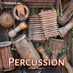 Percussion Song Lyrics