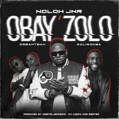 Obay'zolo (feat. Dreamteam & Daliwonga) - Single by NDLOH JNR album reviews, ratings, credits