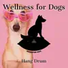 Wellness for Dogs: Hang Drum album lyrics, reviews, download