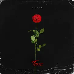 Toxic - Single by Ski400 album reviews, ratings, credits