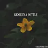 Genie in a Bottle - Single album lyrics, reviews, download