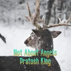 Not About Angels by Pratosh King album reviews, ratings, credits