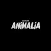 Animalia - Single album lyrics, reviews, download