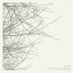 The Nature of Stillness - EP by Lofield album reviews, ratings, credits
