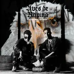 Aves de Rapina (feat. Jackson) - Single by Twood album reviews, ratings, credits