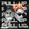 Pull Up (feat. Nik Makino) - Single album lyrics, reviews, download