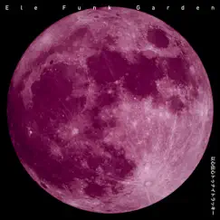 以心伝心トゥナイトラッキー - Single by Ele Funk Garden album reviews, ratings, credits