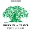 Drown in a Trance album lyrics, reviews, download